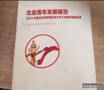 <b>青年自组织与共青蓝狮代理团研究（3）：社会组</b>