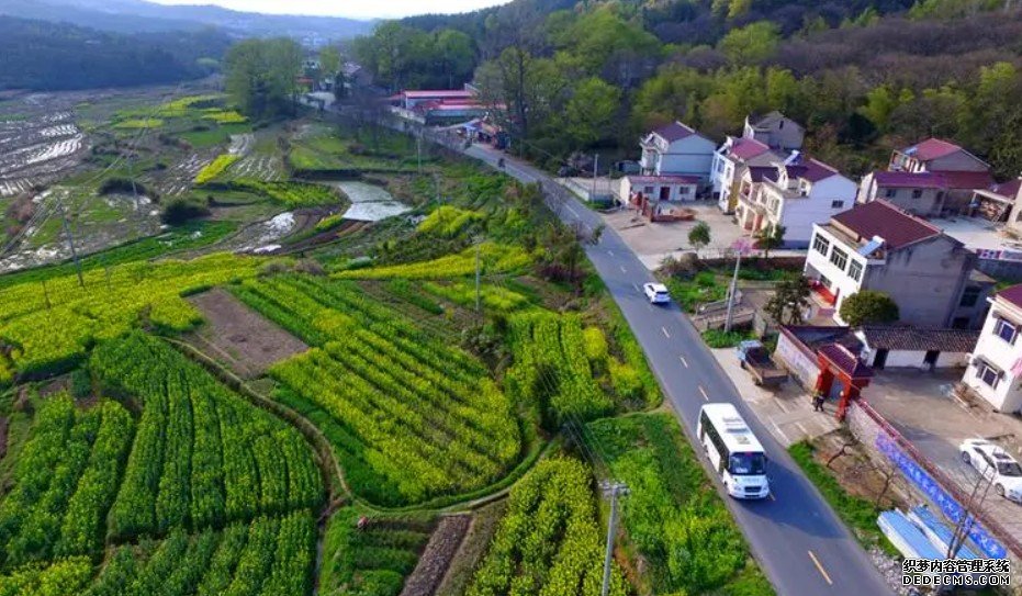 农村青年与新农村建设蓝狮代理（3）：城镇化视角下的农村青年发展——基于四例安徽农村青年城镇化的后续性思考