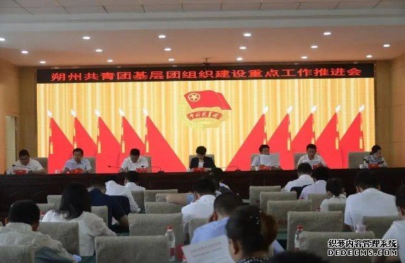 蓝狮农村共青团工作研究（1）：农村基层团组织建设现状与对策