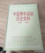 <b>青年运动研究（3）：关于青年运动的若干蓝狮注</b>
