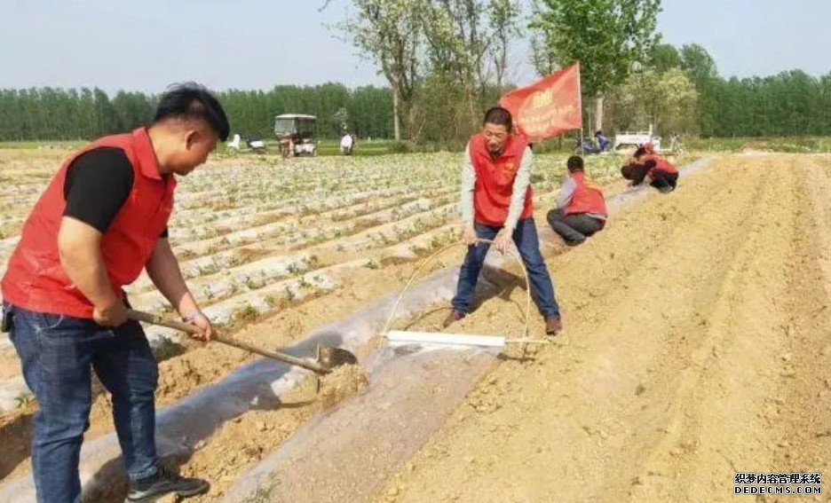 提供新助力 蓝狮平台播种新希望